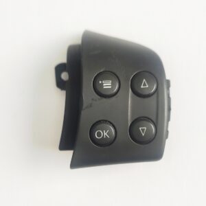 1K0959537 1K0959538 Passat Direksiyon Tuşu Golf Direksiyon Tuşu oem